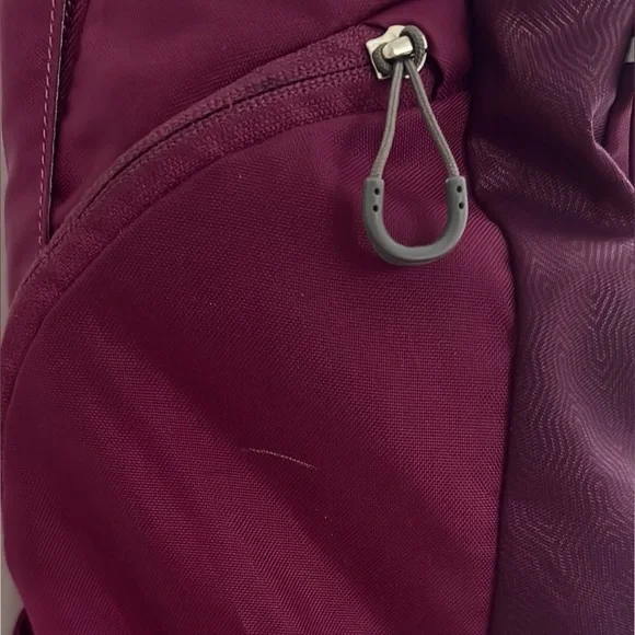 Osprey Axis Backpack in Deep Plum - Picture 4 of 14